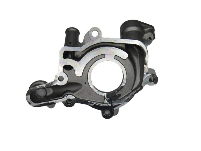 Bomba De Oleo (Refil) 1.0 12V B4D Kwid