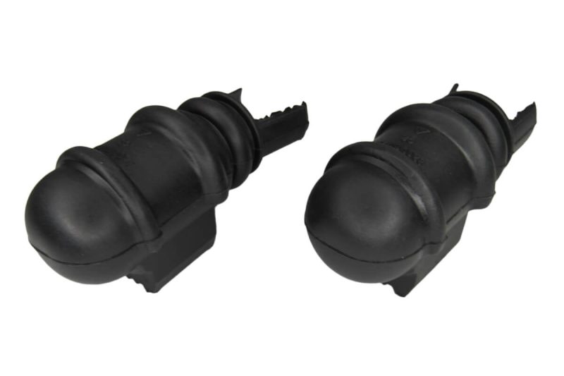 Kit Bucha Da Ponta Da Barra Eatabilizadora Scenic (24MM)