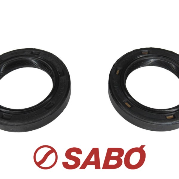 Kit Retentor Comando Válvulas Motor 1.6 16V (K4M) CLI/SCE/MEG/KAN/LOG/SAN/SYM/DUS 28X42X6