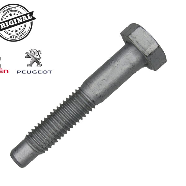 Parafuso Do Pivo 206/207/307/C3/C4
