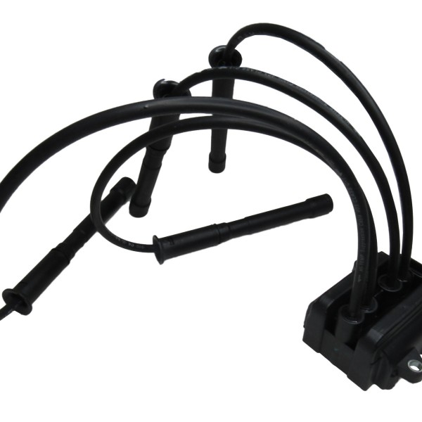 Bobina Ignicao C/Cabos Cl2/Log/San 1.0 16V D4D Hi Flex/Power
