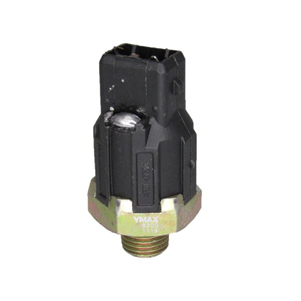 Sensor De Detonacao Twg/Cl/Sce/Meg/Kan/Exp/Dus/Log/San/Lag/R19/Sym/Tra
