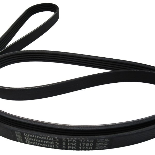 Correia Do Alter.Grand Scenic/Log/San/Symb Dh+Ac 5Pk1750
