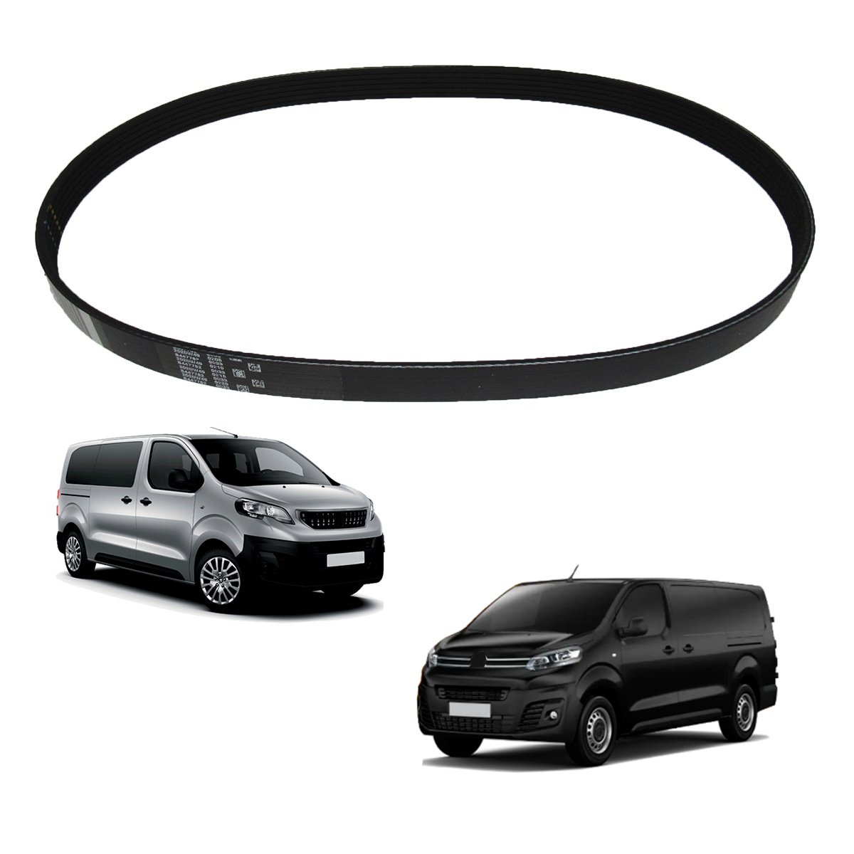 Correia Do Alter. Jumpy/Expert 6Pk962 965