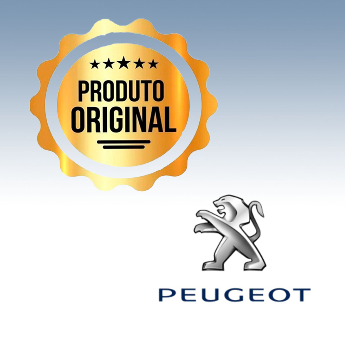 Tubo Plástico De Saida Do Radiador De Ar Quente Peugeot 206 207 Hoggar - Imagem 4