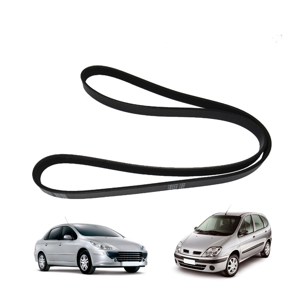 Correia Do Alter. Sce/Meg/Lag/307 Alt+Ba+Dh+Ac 6Pk1130