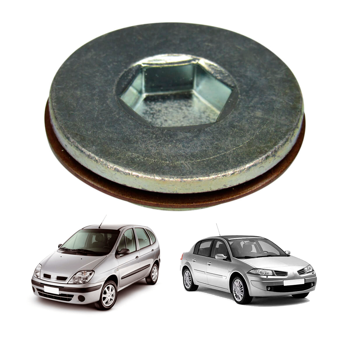 Bujao Sextavado (Tampao) Da Polia De Adm. Mot F4R 2.0 16V